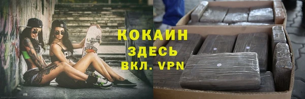 кокс Каменногорск