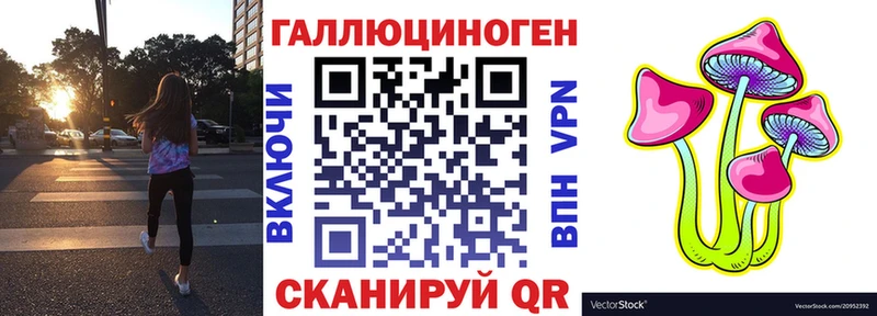 Галлюциногенные грибы Psilocybine cubensis  Шатура 