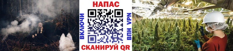 Марихуана план  Шатура 